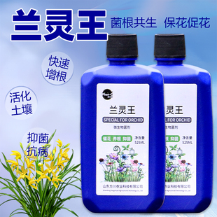 兰灵王兰花浓缩营养液发财树多肉花卉促生根通用好用正品 促花壮苗