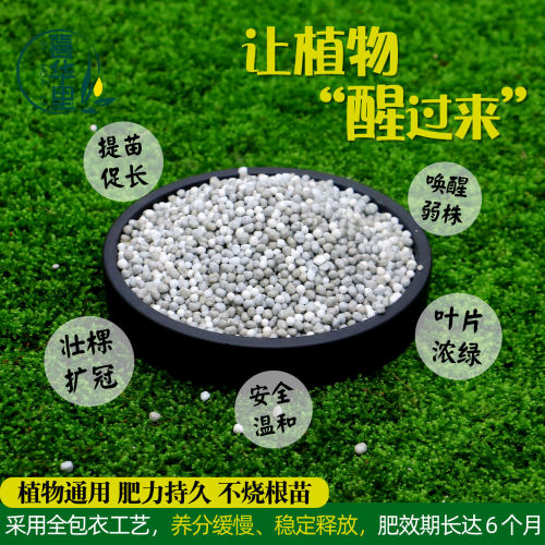 通用控释肥美思特颗粒缓释肥兰花