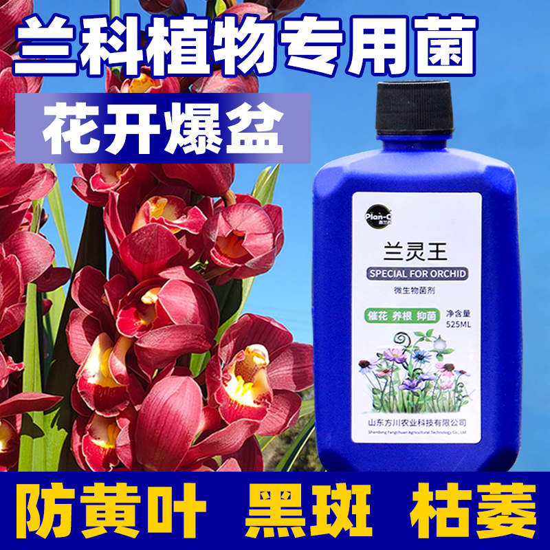 正品  兰灵王兰花微生物菌剂以菌抑菌防黄叶烂根壮苗促花活化土壤 鲜花速递/花卉仿真/绿植园艺 家庭园艺肥料 原图主图