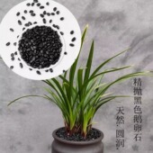 黑色铺面石透气美观通用型 花卉铺面石子 新型家庭养花专用土