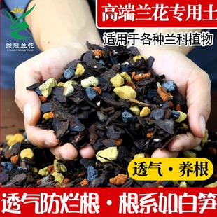 高端兰科颗粒植料兰花专用营养土仿紫砂花盆种植全套通用家用透气