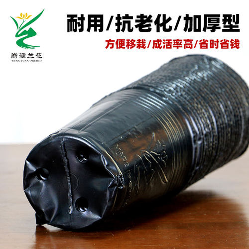 营养杯育苗杯兰花培育简易盆加厚