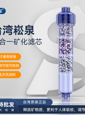 台湾崧泉进口四合一矿化滤芯