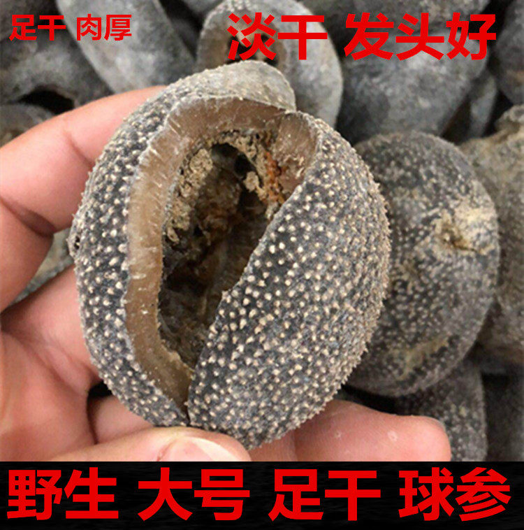 精选优质球参乌元球参足干货500g 泰国越南进口野生淡干足干海参