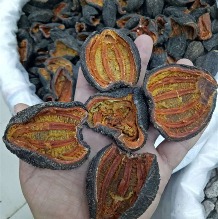 加拿大进口野生500g海参干货
