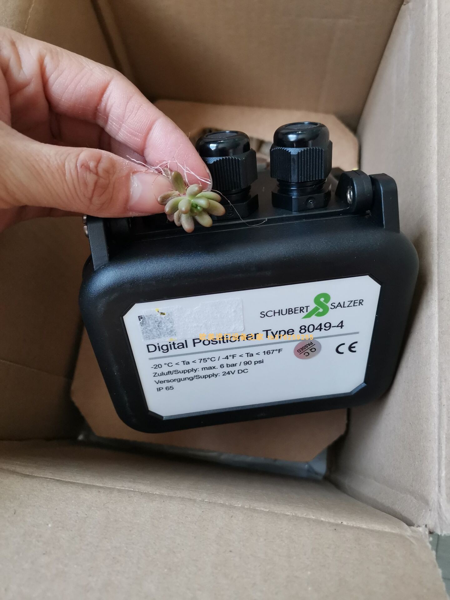 开关SalzerS16-61362-B13