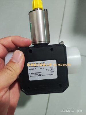 传感器HAMPTONYN100BF-G