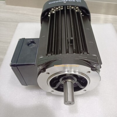 电机GrundfosMG112MC2-28FT130H3