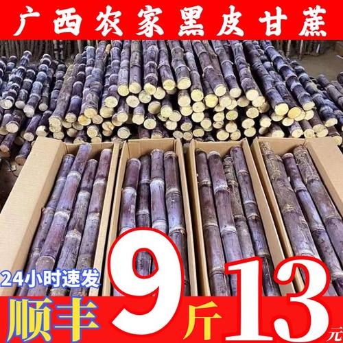 广西脆甜杆黑皮甘蔗现砍现发