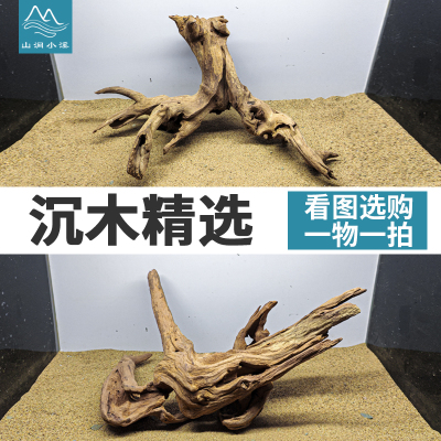 南美鱼缸沉木造景树桩乌龟晒台