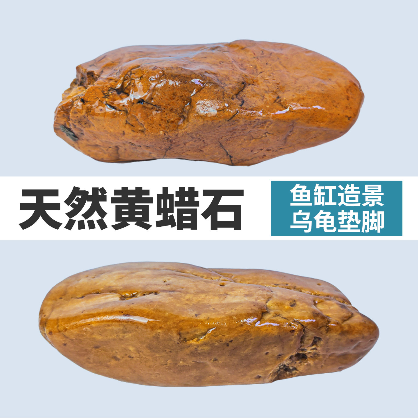 养龟苗晒台天然黄蜡石晒台鱼缸造景黄喉发色躲避一石一拍观赏奇石