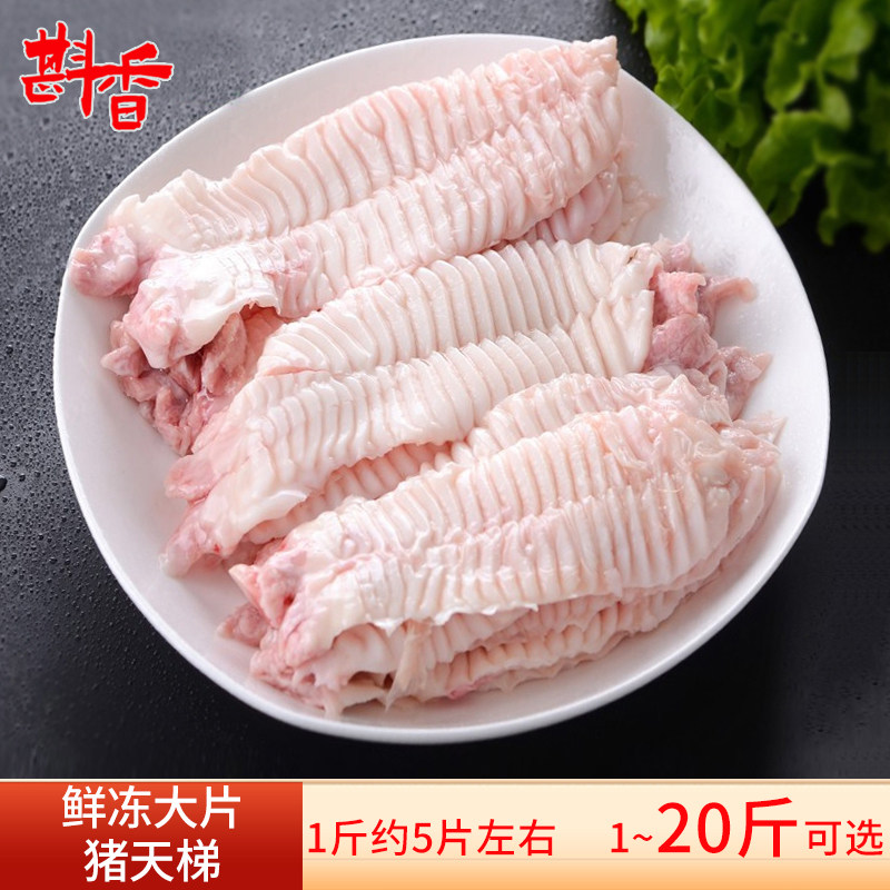 新鲜猪天梯猪牙梗天堂猪牙板巧舌上牙膛火锅烧烤生鲜冷冻食材商用