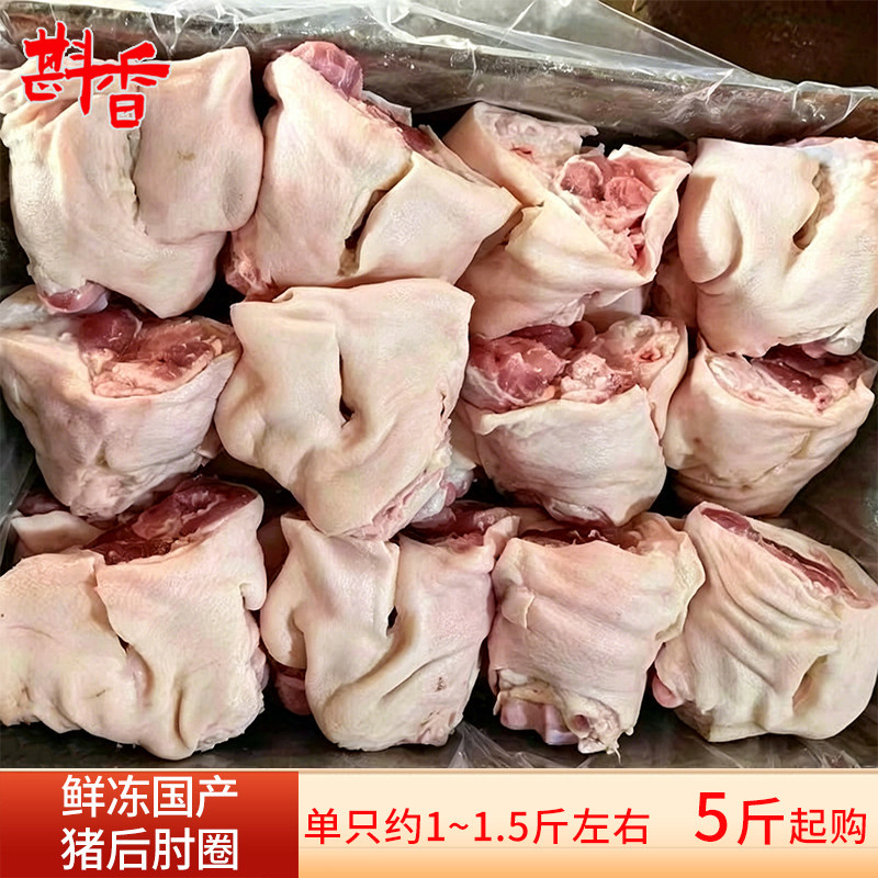 新鲜冷冻猪后肘圈5~20斤整箱商用批发小蹄髈猪拐肘生鲜食材