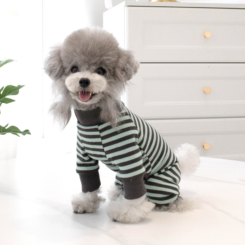 条纹四脚衣春秋款护肚衣绝育服小狗衣服泰迪比熊狗宠物衣服小型犬,宠物/宠物食品及用品,狗宠物服装/雨衣,淘宝优惠券,粉丝福利购,淘宝优惠卷