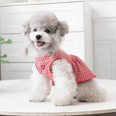 春秋款 衣服公主裙子背心泰迪比熊狗狗猫猫宠物衣服小狗衣服 情侣款