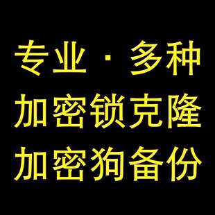 防 加密狗/加密锁/防复制/克隆/备份/防软件狗破解/写狗工具/定制