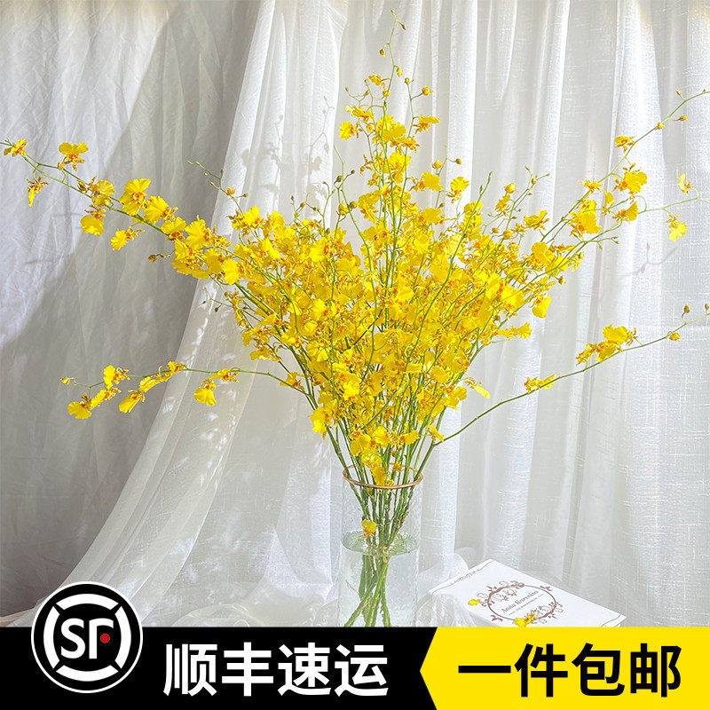 新鲜跳舞兰鲜花文心兰家庭水培办公室插花云南花直发婚礼手捧花材