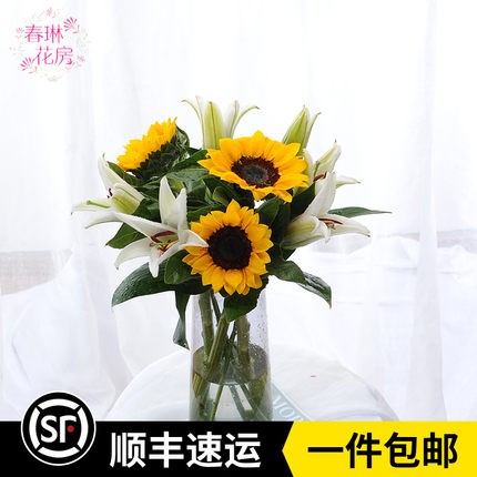 新鲜大花向日葵花束鲜花太阳花家庭办公室用花云南昆明直发斗南