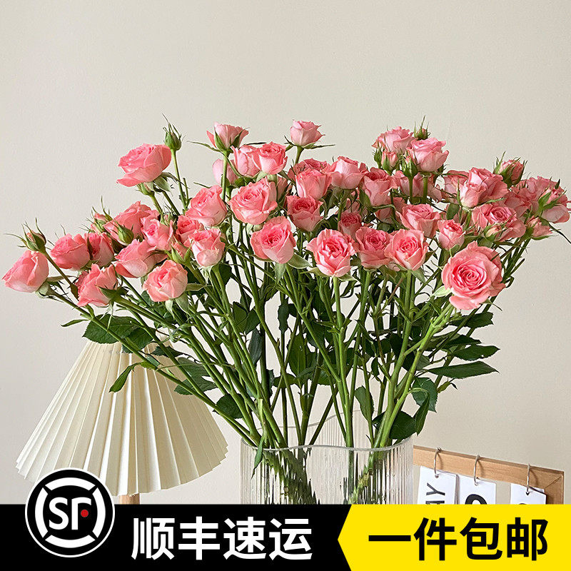 新鲜多头玫瑰高雅爱人泡泡蔷薇婚礼情人节七夕云南鲜花基地直发