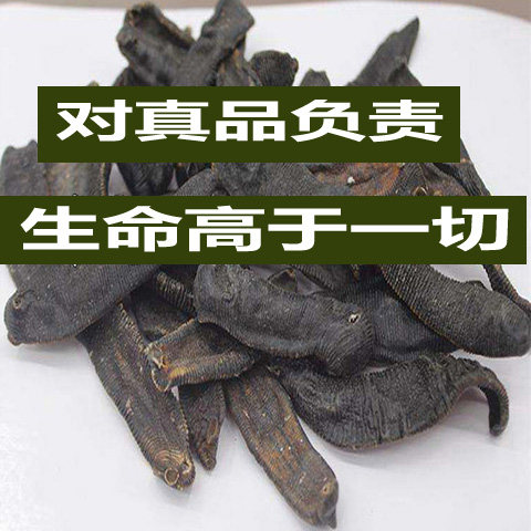 清水吊干水蛭粉50克无添加水蛭干包邮1两金线蚂蟥干水蛭素