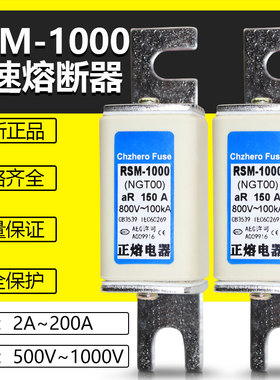 RSM-1000 NGT00 160A 125A 100A 80A 63A 50A 32A 25A 16A熔断器