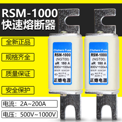 RSM-1000NGT00690V快速熔断器
