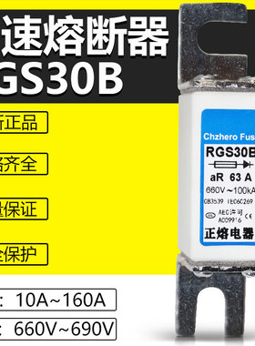 RGS30B 660V 690V 50A45A40A35A32A25A20A16A10A6A2A快速熔断器