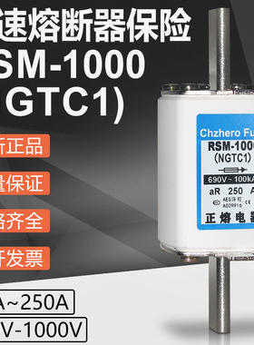 RSM-1000 NGTC1 250A 200A 180A 160A 125A 100A 690V快速熔断器