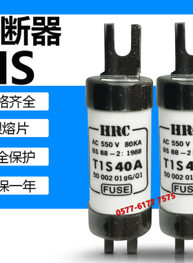 HRC熔断器RG2 TIS 50A 60A 63A 80A 100A 500V 550V保险丝管660V