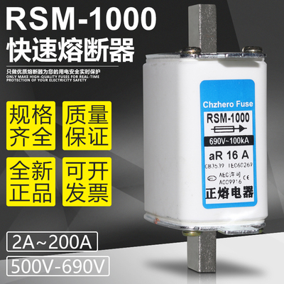 RSM-1000NGTC0025A32A快速熔断器
