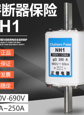 熔断器NH1 500V 250A 225A 200A 180A 160A 150A 125A熔芯保险