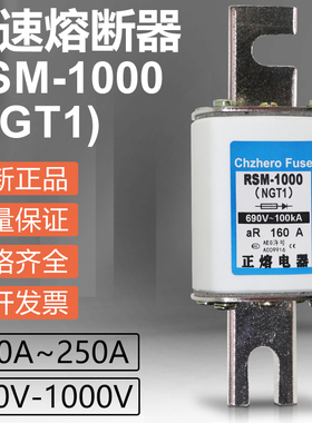 RSM-1000 NGT1 250A 200A 180A 160A 125A 100A 690V快速熔断器