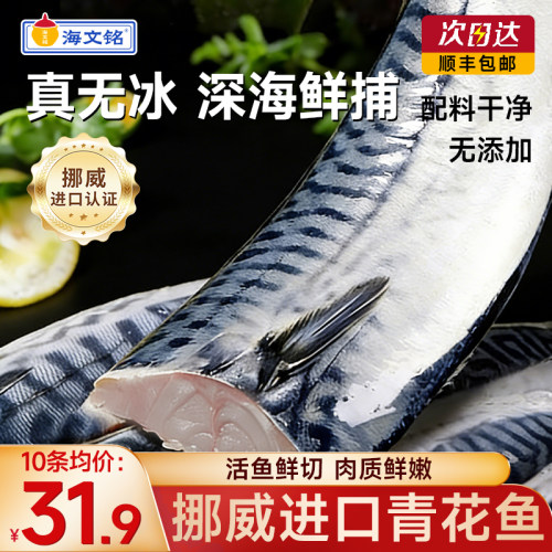海文铭挪威青花鱼无冰高品质超大