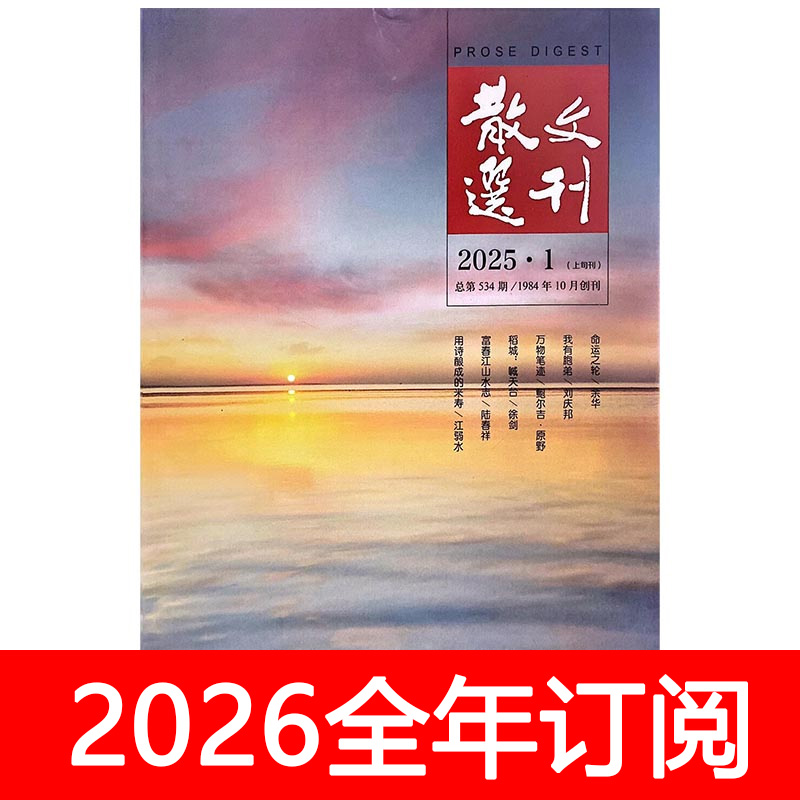 散文选刊杂志上旬选刊版2025年1-12期百家小说月报当代作家文学
