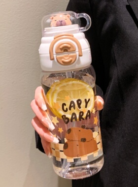 卡皮巴拉双饮带吸管水杯女生可爱便携高颜值儿童水壶2026新款杯子