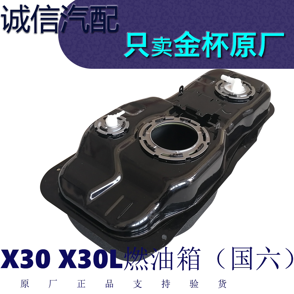 总成燃油箱x30总成金杯图片