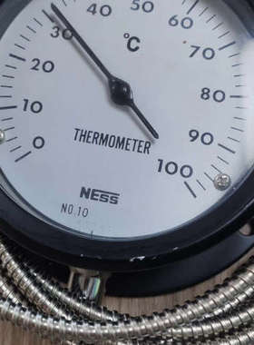 TUS-2S-S温度计NESS