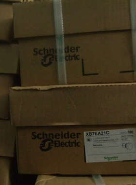 XB7EA21C 支持验货正品耐德按钮开关 XB7EA2