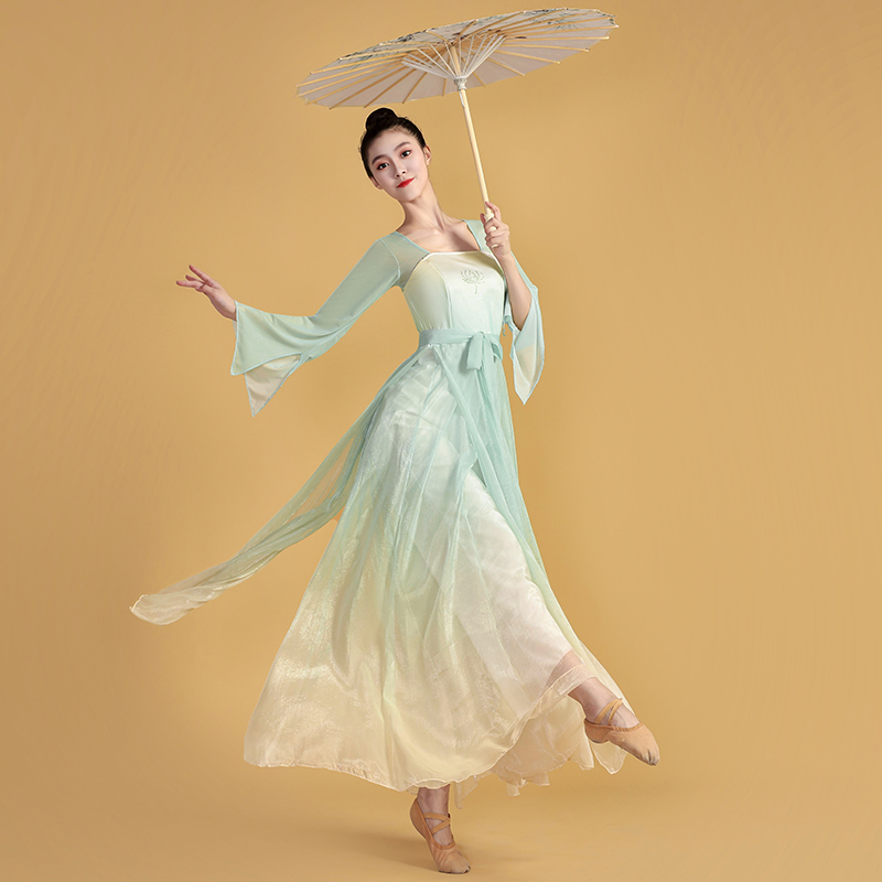 古风古典舞舞蹈服身韵纱衣