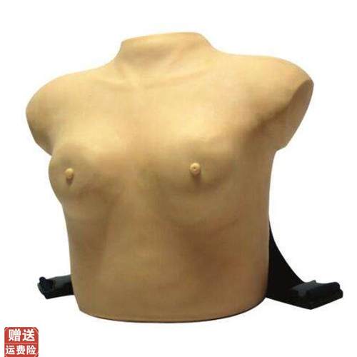 高级着装式乳房自检模型乳y房检查模型女性乳腺自检模型