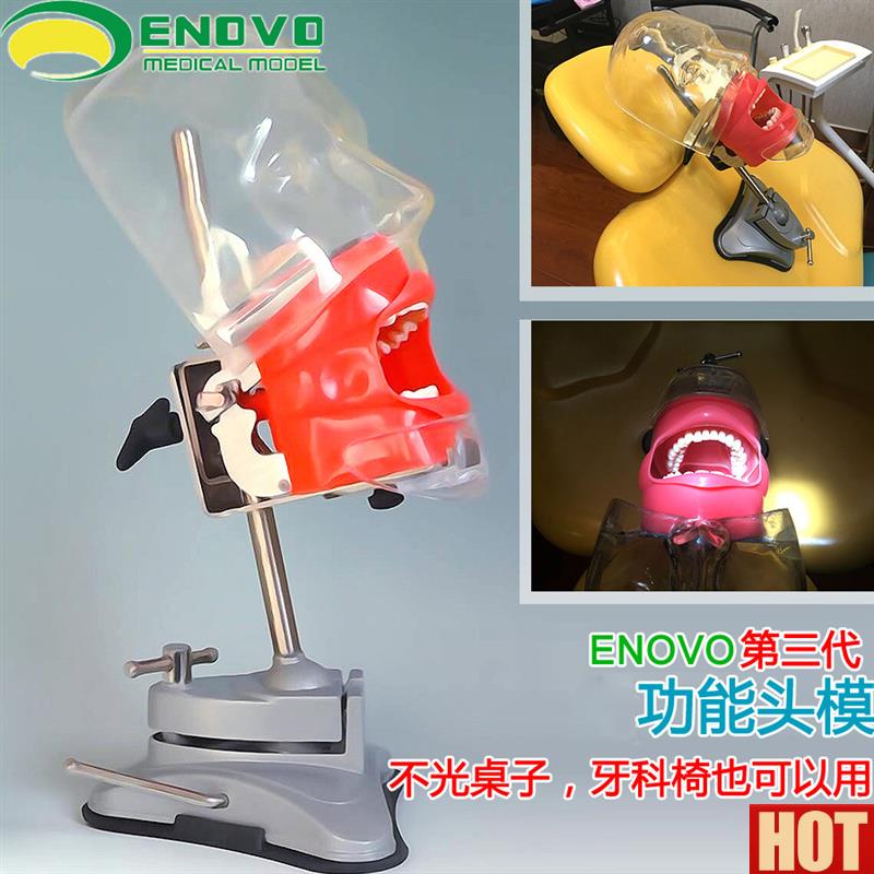 NOVO正品口腔科仿生头模系统齿科备牙牙医u培训牙科头模牙齿模型