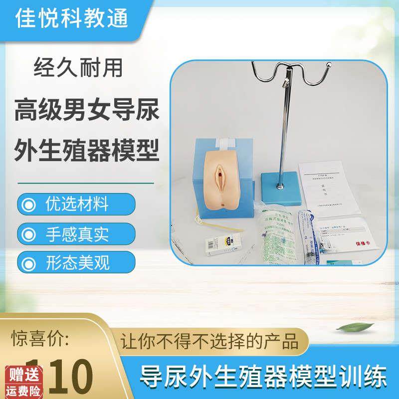 男女性护理导尿外生殖器模型y练习模具导尿训练模型整体导尿培训