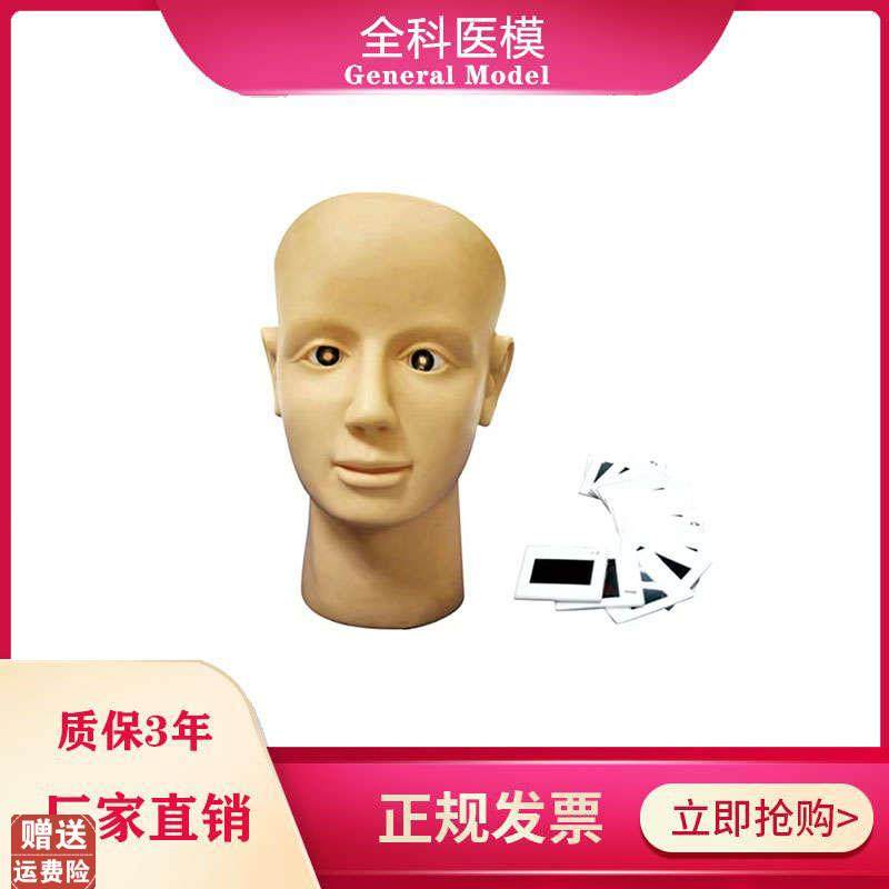 眼视网膜病变训练模型眼t球检查练习养老护理高血压糖尿病人眼睛