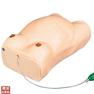 怀孕检查模型电子检查人 妇科检查模型 高级孕妇检查e模型GD FW1