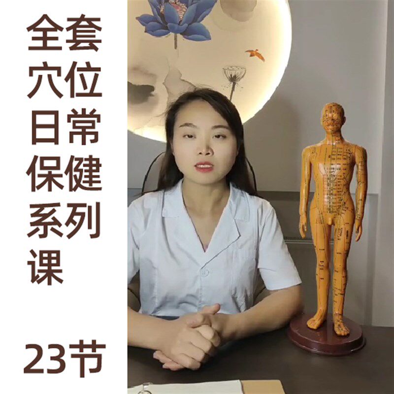 中医教学教程日常n保健经络针灸模型相关理论视频课系列课
