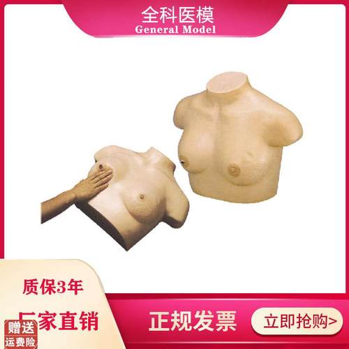 乳腺视诊与d触诊模型乳房检查临床教学女性催乳训练诊断模型