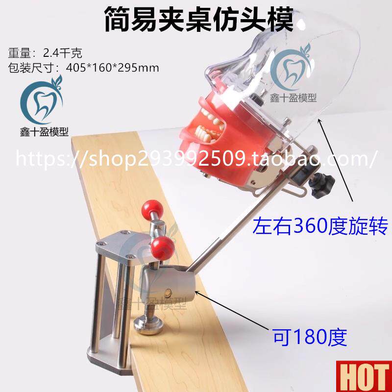 科模型 夹桌式简易人头模型C口腔备牙模型器械离体牙 可调节替换