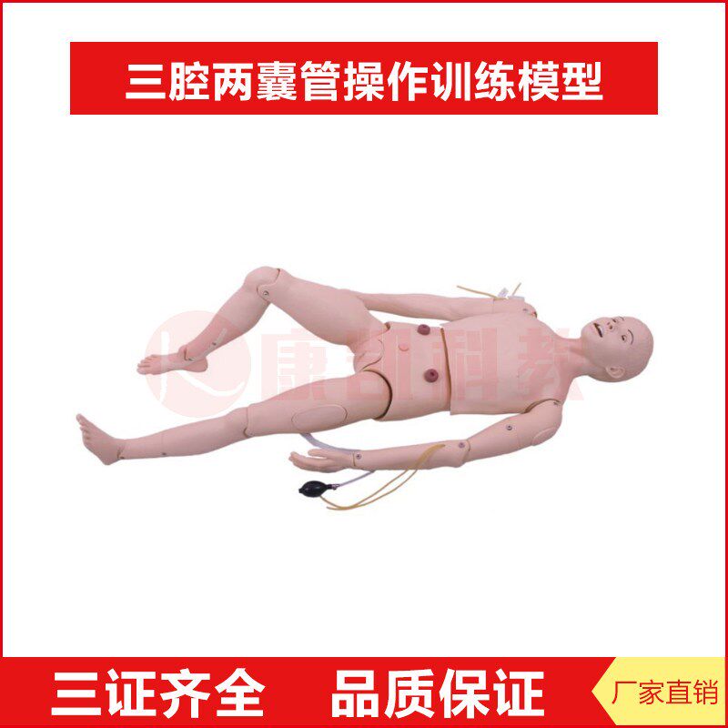 三腔两囊管操作训练模型 高级成人护理人 导尿穿T刺模型带内脏器