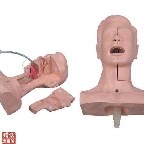 高级吸痰练习模型