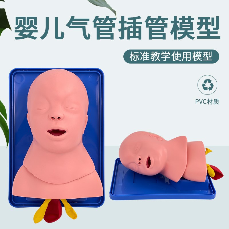 专业仿真婴儿气管插管训练模型 婴儿声J门会厌解剖气管插管模拟人